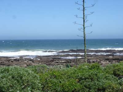 ocean-400