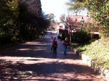 gold reef city 8