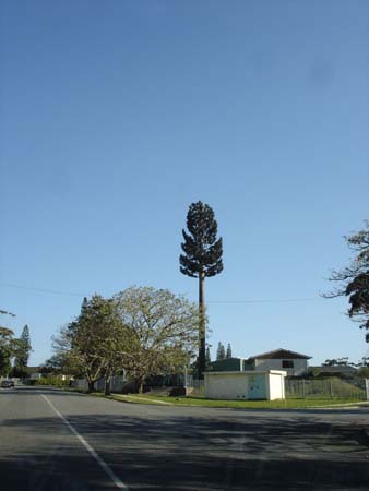 celltowertree