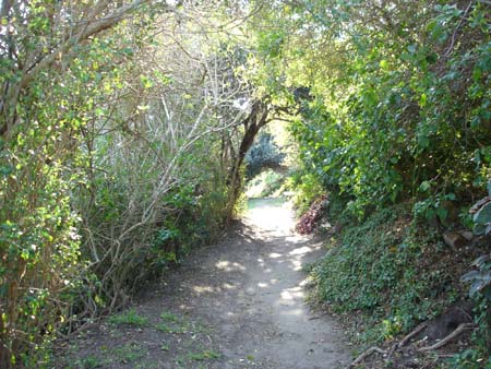 river walk