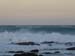 dolphins1