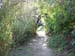 river walk