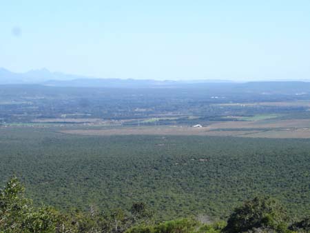ADDO 2