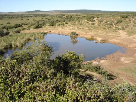 WATERHOLE