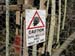 DUNB BEETLE SIGN