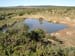 WATERHOLE