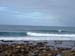 seal point 2