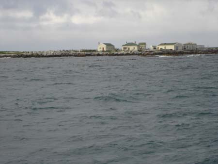 dyer island