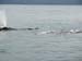 cape town 2007056