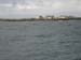 dyer island